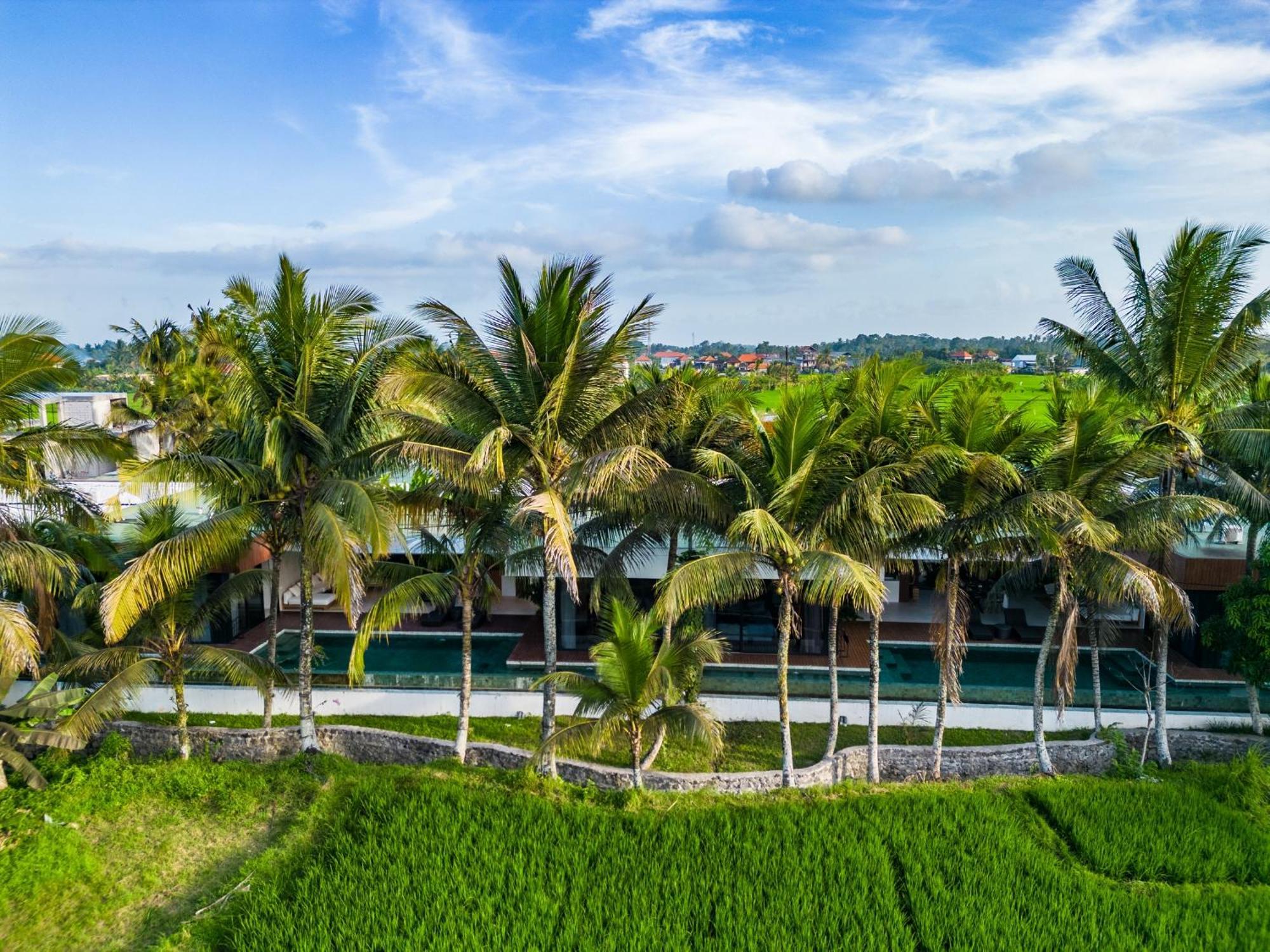Green Flow Ubud Villa 20 Dış mekan fotoğraf